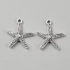 Tibetan Style Alloy Pendants FIND-WH0173-156C-AS-1