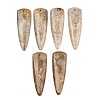 Natural Fossil Coral Pendants G-B187-01C-07-1