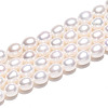 Natural Cultured Freshwater Pearl Beads Strands PEAR-N012-07Z-01-5