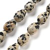 Natural Dalmatian Jasper Beads Strands G-B106-A29-02-1