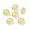 Glass European Beads LS-GDA007-08-1