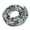 Natural African Turquoise(Jasper) Beads Strands G-S361-5mm-002-2