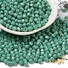 Baking Painted Glass Seed Beads SEED-C004-01I-1