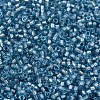 MIYUKI Delica Beads SEED-X0054-DB2383-3