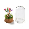 Natural Shell Chips Money Tree in Dome Glass Bell Jars with Wood Base Display Decorations DJEW-K030-02J-3