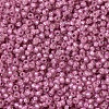 MIYUKI Round Rocailles Beads X-SEED-G007-RR0645-3