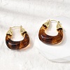 Brass Resin Hoop Earrings EJEW-P333-11D-G02-3