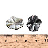 Natural Black Lip Shell Carved Leaf Beads BSHE-T014-31B-3