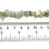 Natural Flower Amazonite Chips Beads Strands X-G-M205-12-01-5