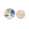 Alloy Gemstone Chip Pendants PALLOY-JF01448-01-2