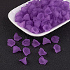 Transparent Acrylic Beads PL622-C17-1