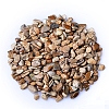 Natural Picture Jasper Tumbled Chips PW-WGA7DCE-23-1