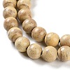 Natural Rainbow Alashan Agate Beads Strands G-NH0022-A06-02-4
