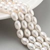 Natural Cultured Freshwater Pearl Beads Strands PEAR-P062-10F-2