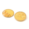 Brass & Resin Pendants KK-H276-01KCG-02-2