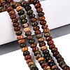 Natural Picasso Jasper/Polychrome Jasper Beads Strands G-N367-02A-12-1