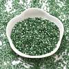 Imitation Cat Eyes Glass Seed Beads X2-SEED-H003-03I-2