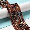 Miracle Agate Beads Strands G-N213A-51-2