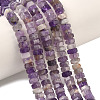 Natural Amethyst Beads Strands G-L654-I03-01-1