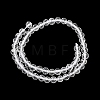 Natural Quartz Crystal Beads Strands G-H336-A11-03-3