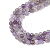 Natural Amethyst Beads Strands G-G189-D22-02-4