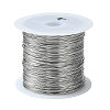 Non-Tarnish 316 Stainless Steel Wire TWIR-L004-01C-P-1