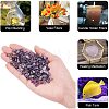 Natural Amethyst Chips Beads G-GA0001-19-6