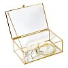 Transparent Glass Jewelry Organizer Display Cases with Metal Frame AJEW-WH0410-465B-1