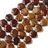Natural Petrified Wood Beads Strands G-H344-B03-01-2