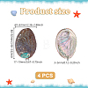 Natural Abalone Shell Display Decoration FIND-WH0817-038A-2