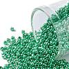 TOHO 11/0 Round Beads SEED-TR11-0561-1