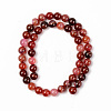 Natural Crackle Agate Beads Strands G-S369-003C-B01-2