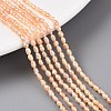 Natural Cultured Freshwater Pearl Beads Strands PEAR-N012-02H-01-2