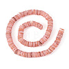 1 Strand Natural Freshwater Shell Beads Strands SHEL-TA0001-35B-1