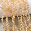 Natural Citrine Beads Strands GG-CBAAEDE-A01-B-1