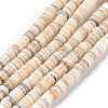 Natural Freshwater Shell Beads Strands X-SHEL-N003A-02-2