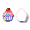 Spray Painted Resin Cabochons X-CRES-Q215-006-3