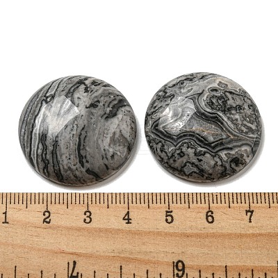 Natural Map Stone Cabochons G-C115-02B-20-1