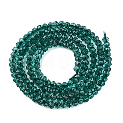 Glass Beads Strands EGLA-T021-01E-1