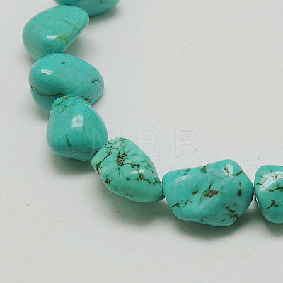 Chips Natural Magnesite Beads Strands G-N0131-11-1