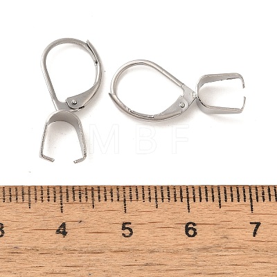 304 Stainless Steel Leverback Earring Findings STAS-U025-01P-02-1