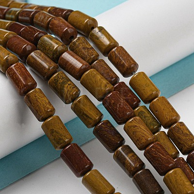 Natural Petrified Wood Beads Strands G-M420-E06-03-1