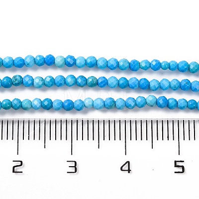 Natural Howlite Beads Strands G-C025-02A-05-1
