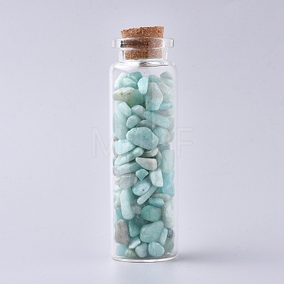 Glass Wishing Bottle DJEW-L013-A02-1