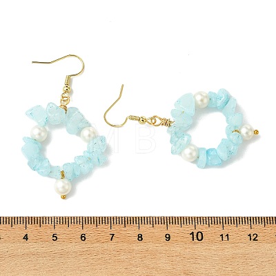 Natural Gemstone Beaded Dangle Earrings EJEW-JE07215-1