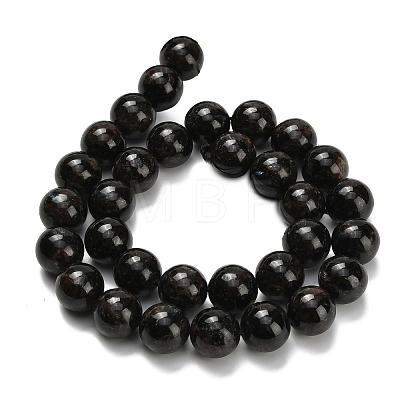 Natural Glaucophane Beads Strands G-L642-B03-12mm-1