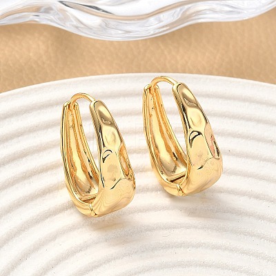 Brass Oval Hoop Earrings EJEW-D337-13G-1