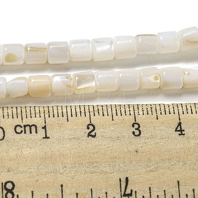 Natural Freshwater Shell Beads Strands SHEL-H004-02-1