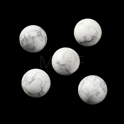 Natural Howlite Sphere Beads GG-D003-A25-1