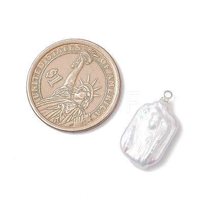 Natural Baroque Pearl Keshi Pearl Pendants PALLOY-JF04825-1